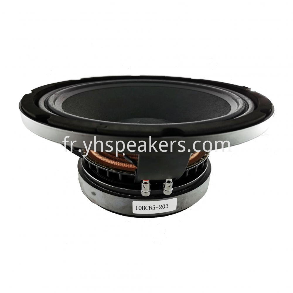 Hot Selling 10" Professional Audio Video Speaker